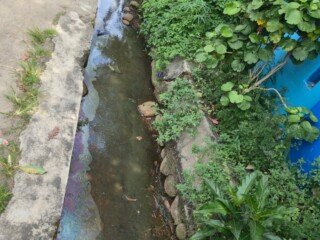 Hasil Gerak Cepat Kepala Sekolah, Perbaikan Drainase Depan SMPN 12 Padang Akhirnya Terwujud
